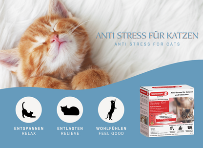 TIERFREUDEN® Science Anti-Stress für Katzen: Komplettes Entspannungsset